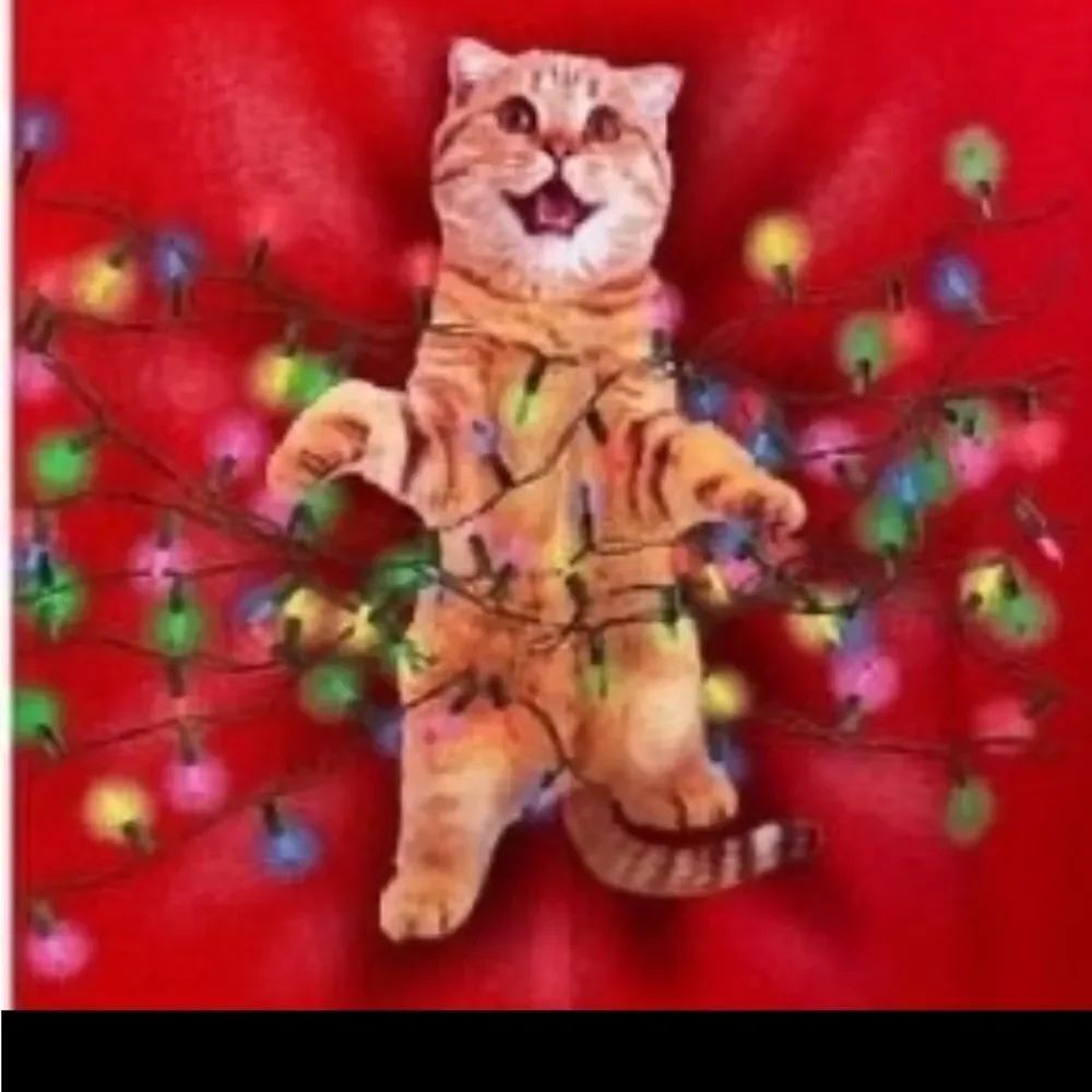 Fifth Sun women’s tabby cat tangled Christmas light graphic SSM